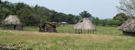 Belize View
