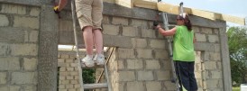 Ladies on Ladders